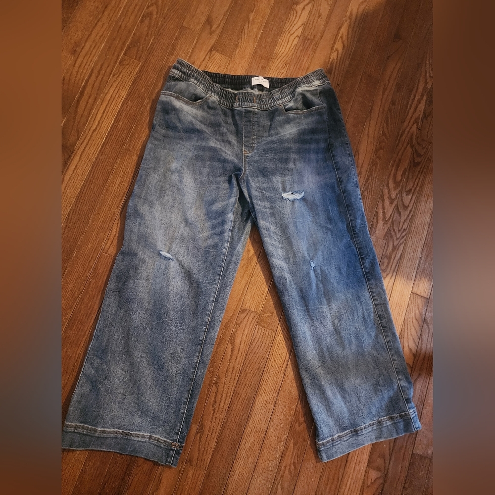 Lane Bryant Distressed Wide Leg - Jeans
